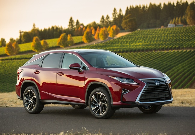 2019 Lexus RX 350 - 1